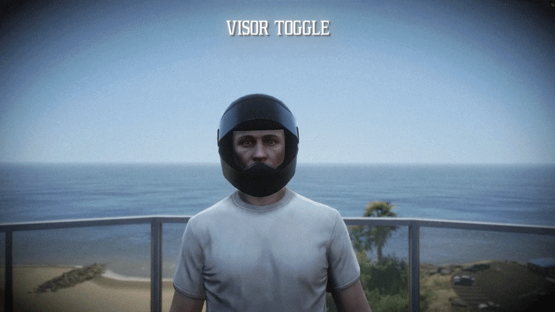 visor