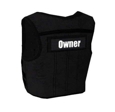 BackVest
