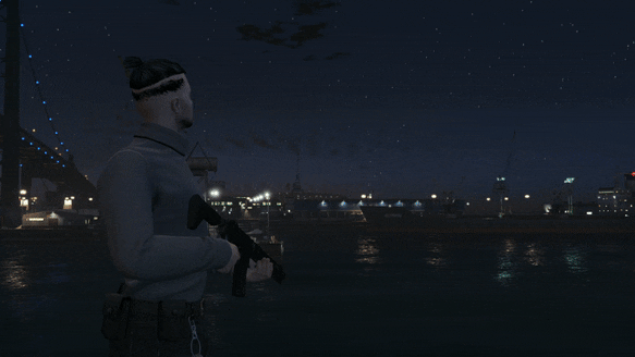 weapon_customizer_gif