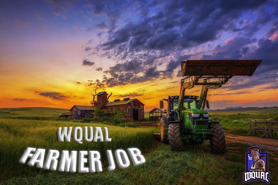 wql-farmer-job