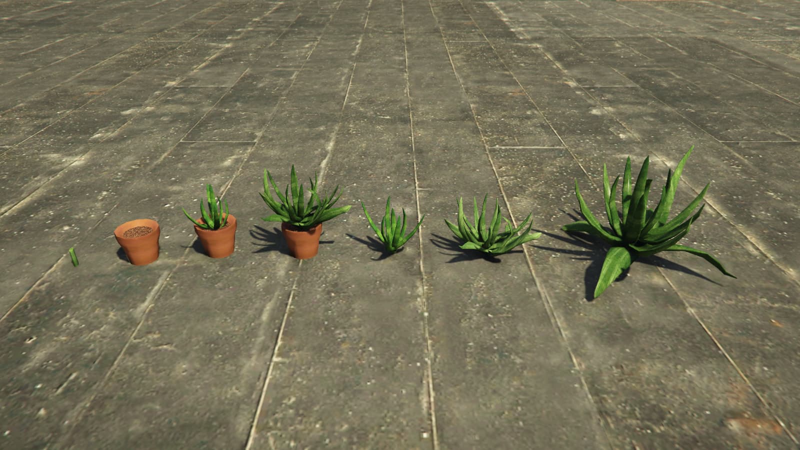 [PROPS] Aloe vera - FiveM Releases - Cfx.re Community