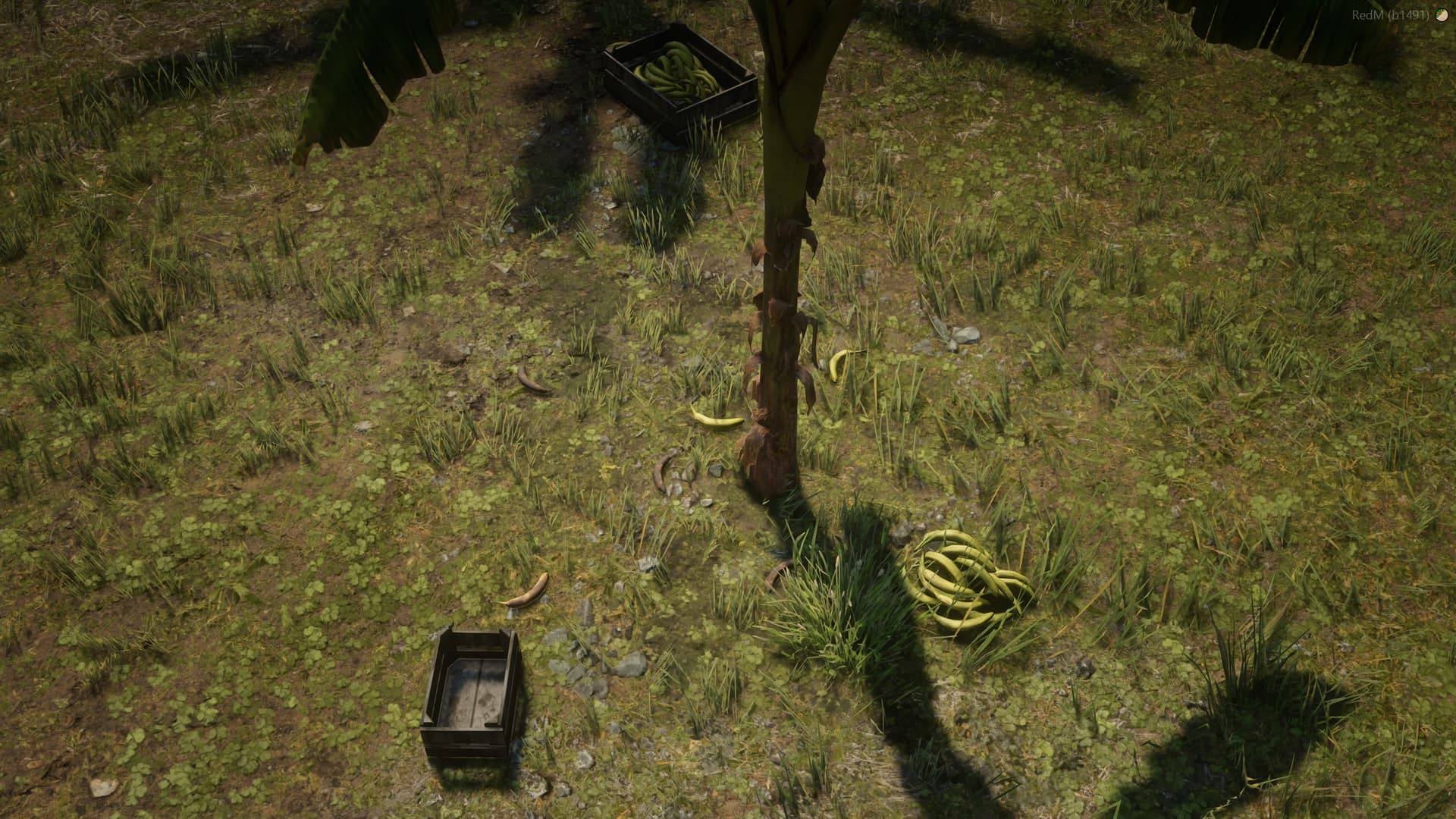 [MAP] Banana Plantation - RedM Releases - Cfx.re Community