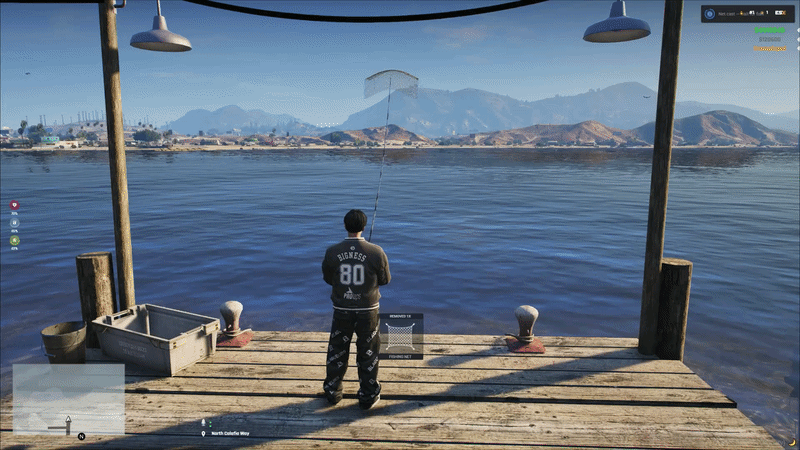 fishignnet