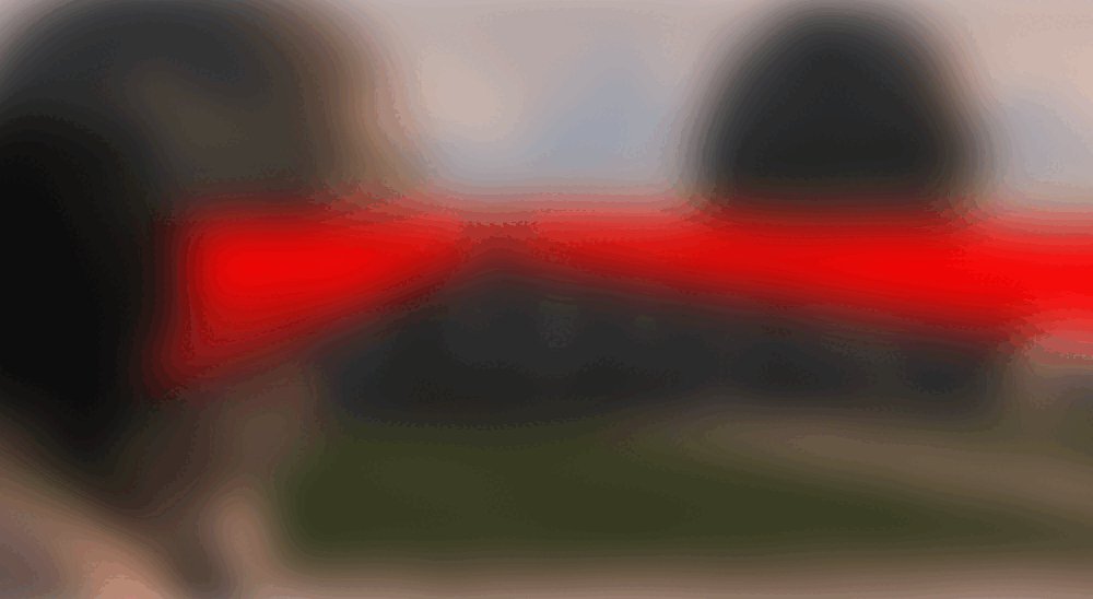 imageedit_11_7421943429
