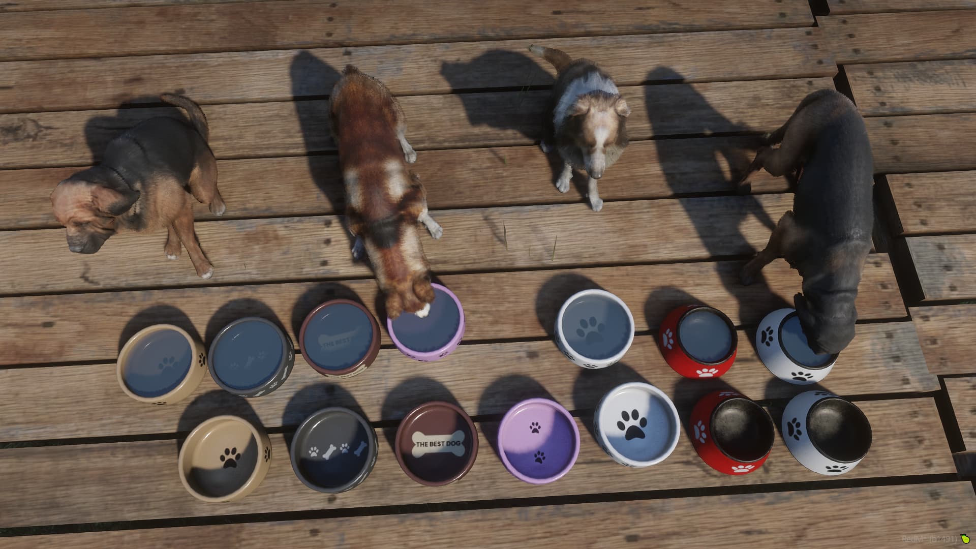 Dog Bowls - RedM Releases - Cfx Forum