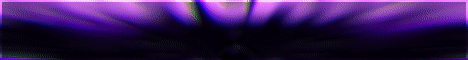 SYN RZ banner