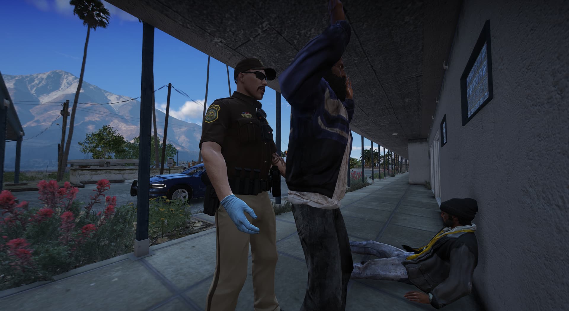 𝗖𝗛𝗥𝗣-𝗙𝗜𝗥𝗦𝗧-𝗥𝗘𝗦𝗣𝗢𝗡𝗦𝗘 | No rank | AI PED interaction | Non-civ RP - Page ...