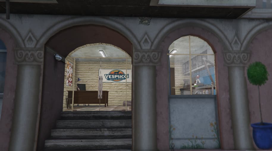 vespucci_vet1