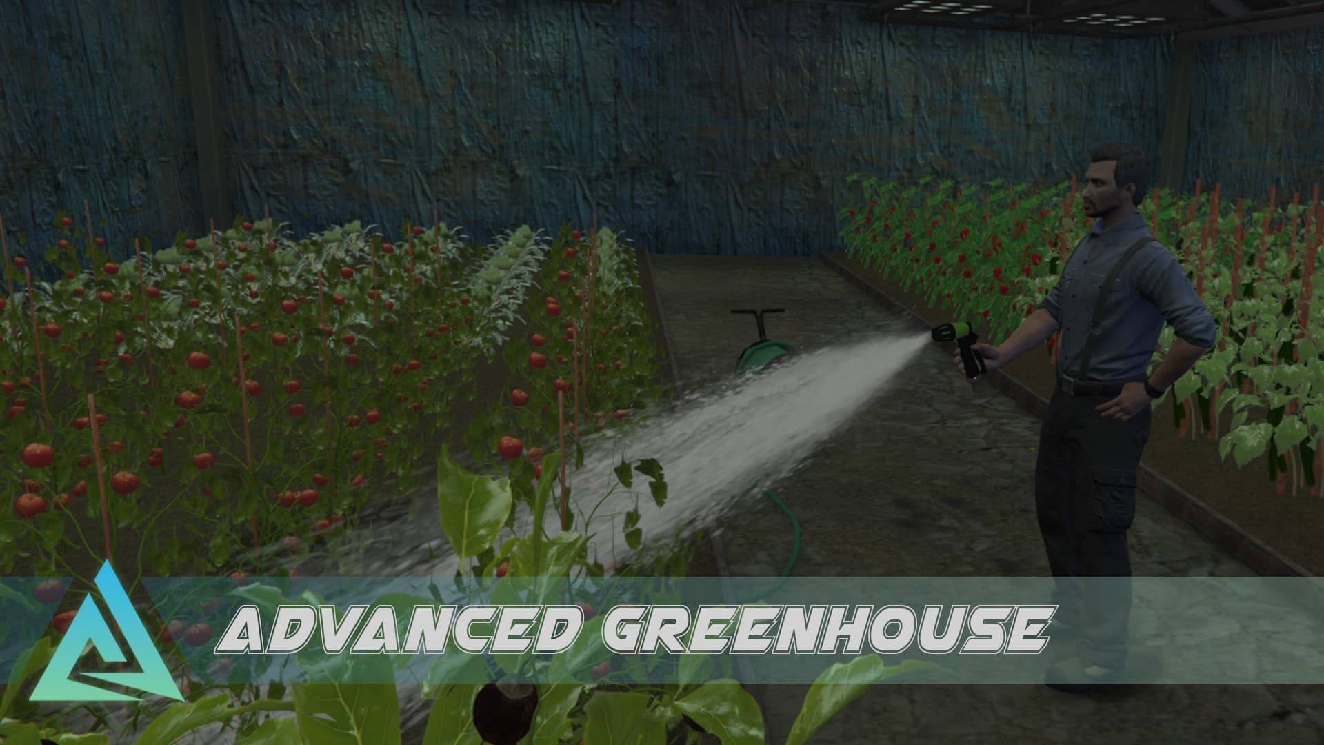 Greenhouse