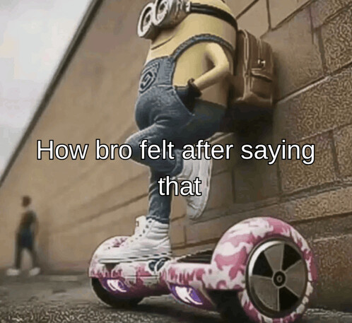 how-bro-felt-after-saying-that