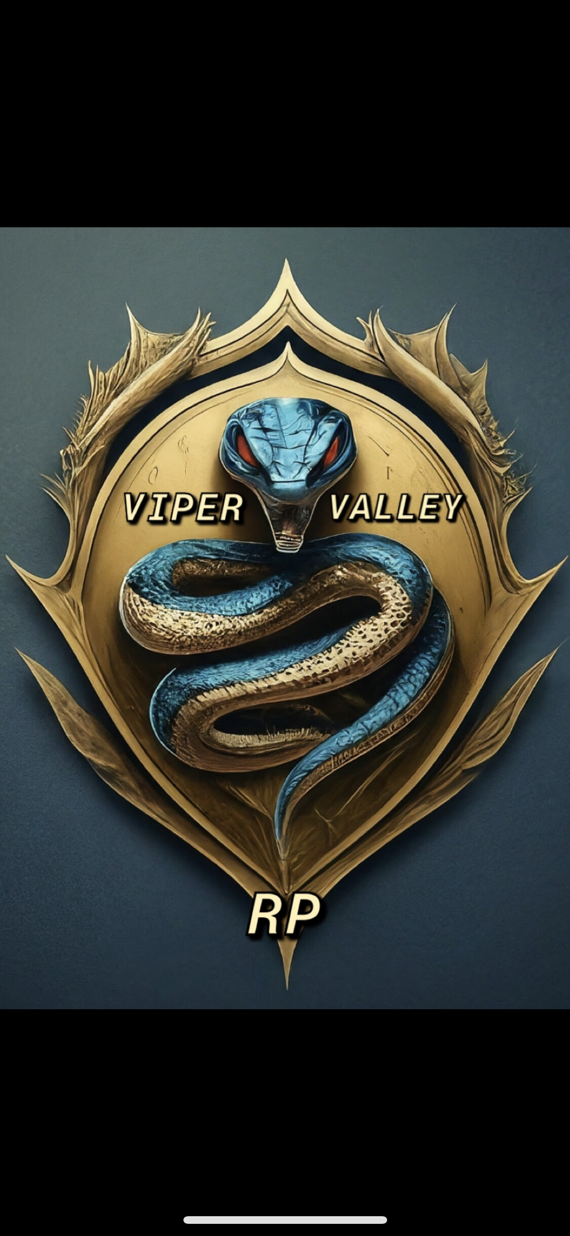 Viper Prodigy Rp ViperValleyRP - Server Bazaar - Cfx Forum