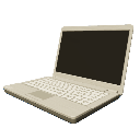 Fraud Laptop