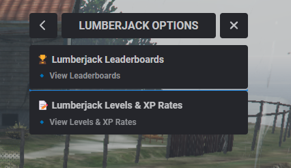 vhs-levels [qbox, esx, qbcore] thumbnail 7