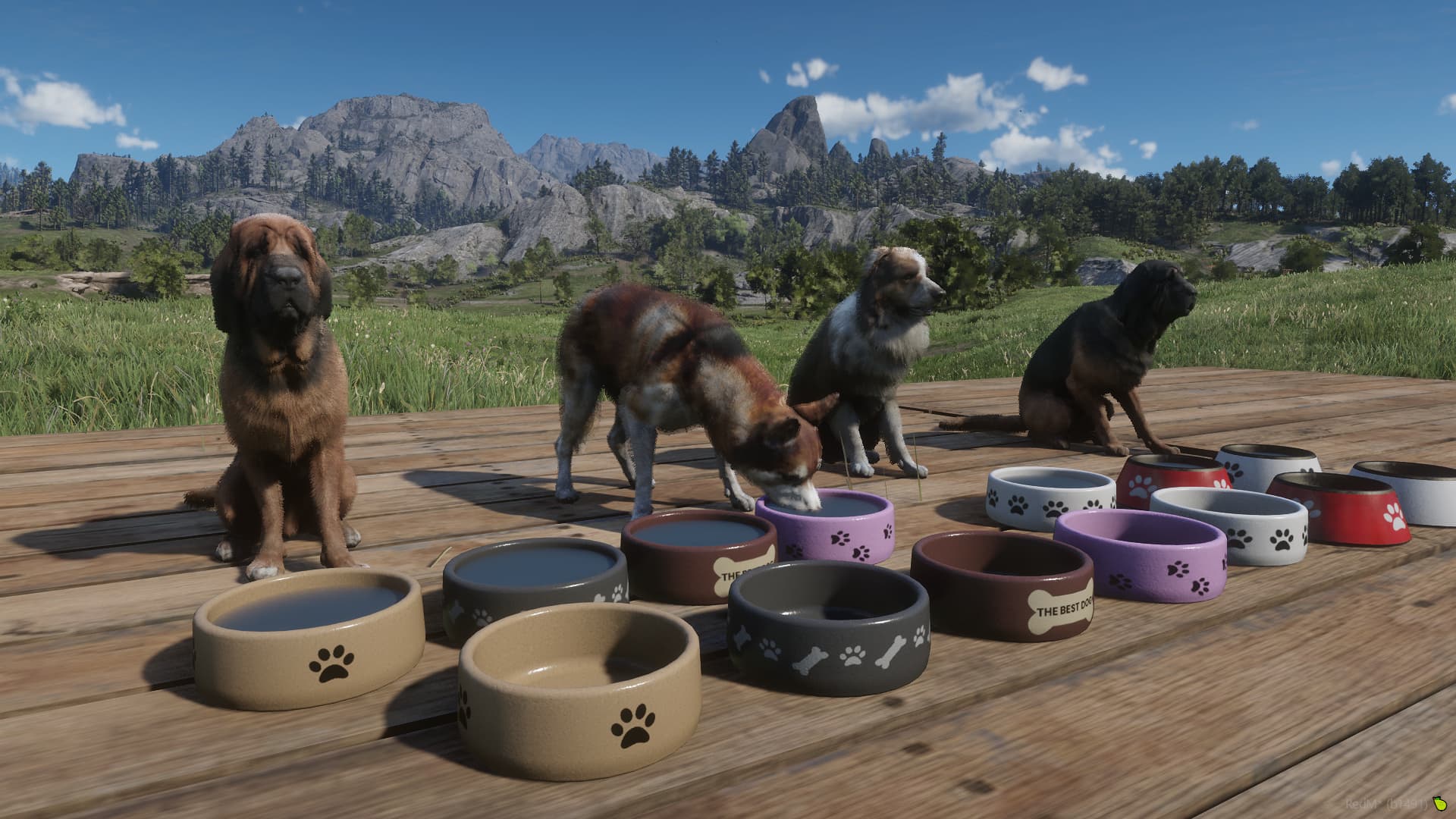 Dog Bowls - RedM Releases - Cfx Forum