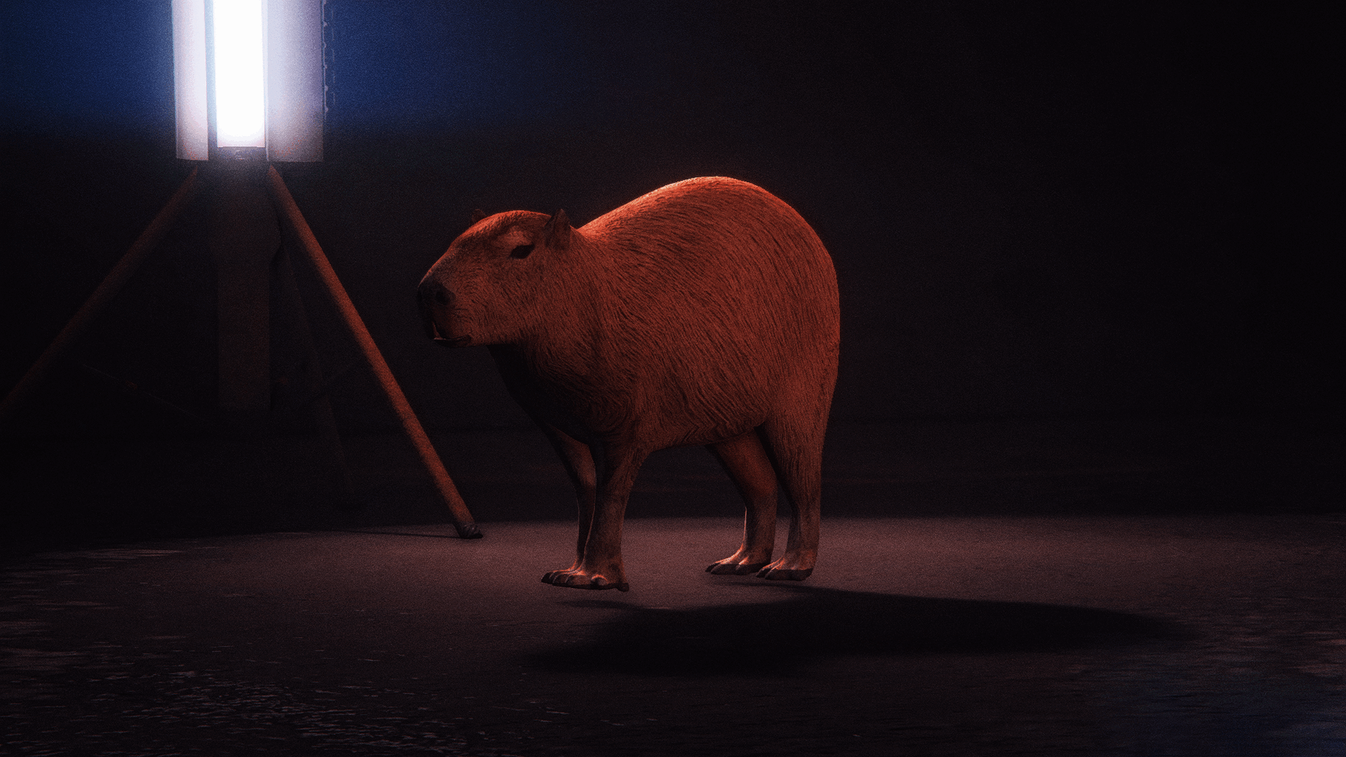 capybara
