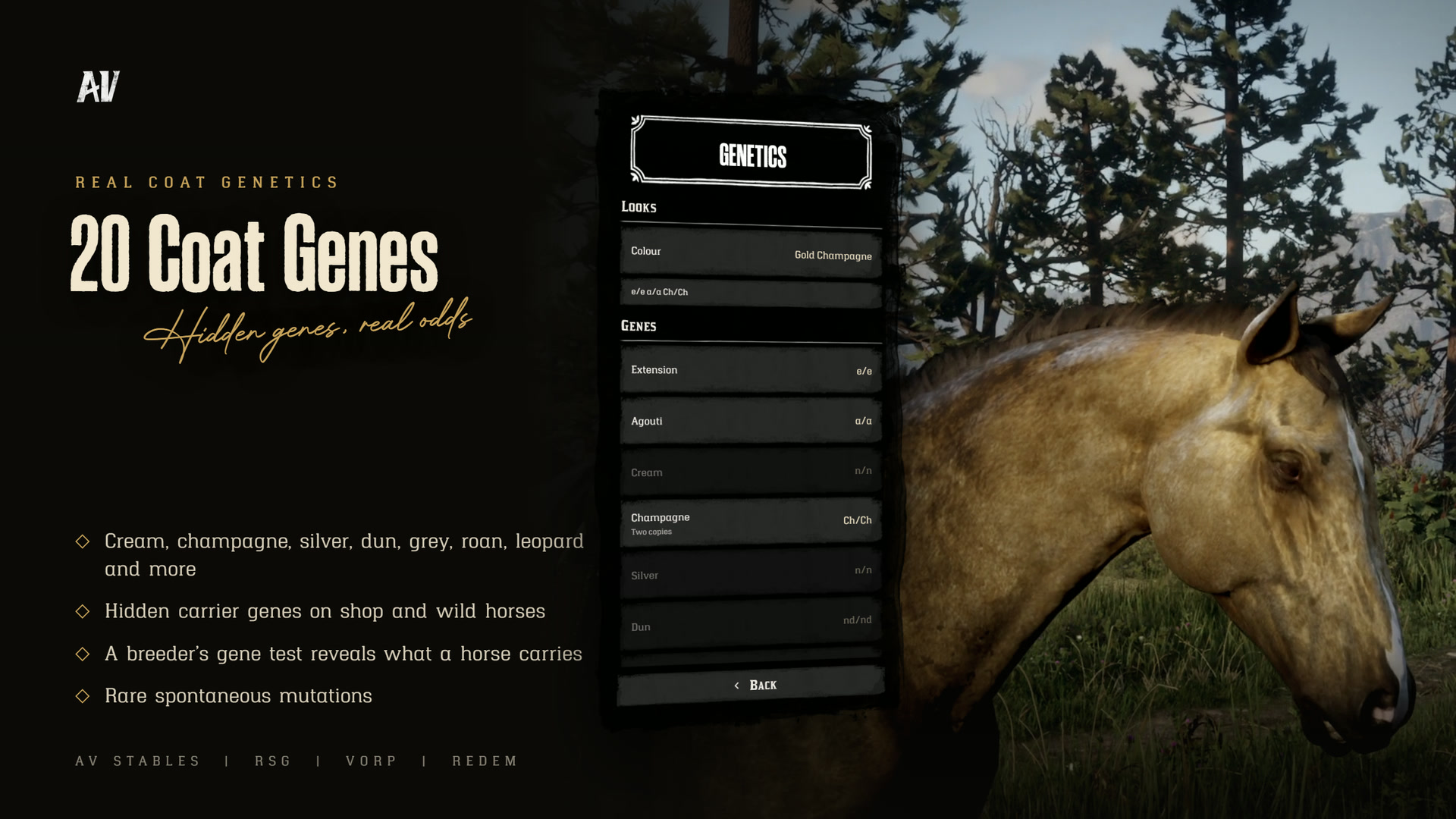 [RedM] AV Stables | RSG, VORP & RedEM | Real Genetics, Breeding, Aging ...