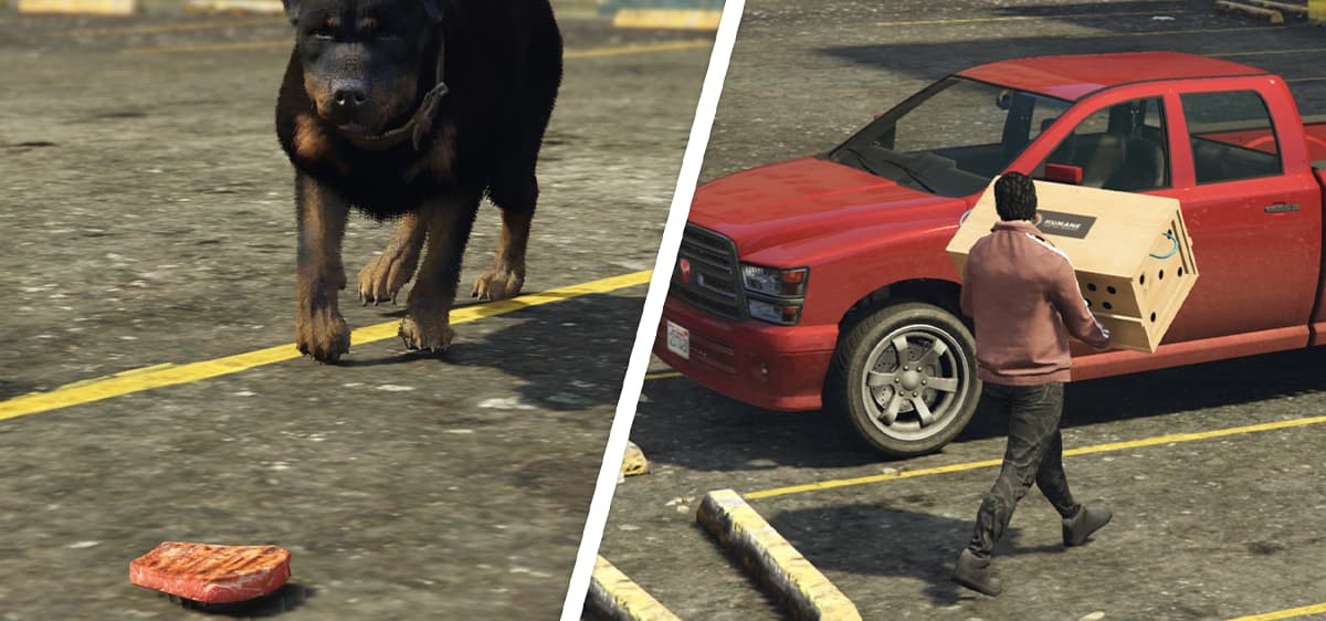 [ESX/QBCore] Animal Control Job - FiveM Releases - Cfx.re Community