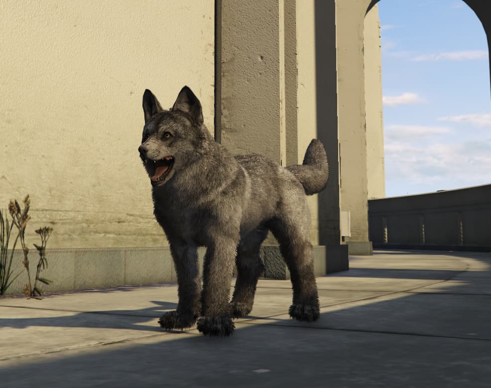 Screenshot 2025-03-09 012951