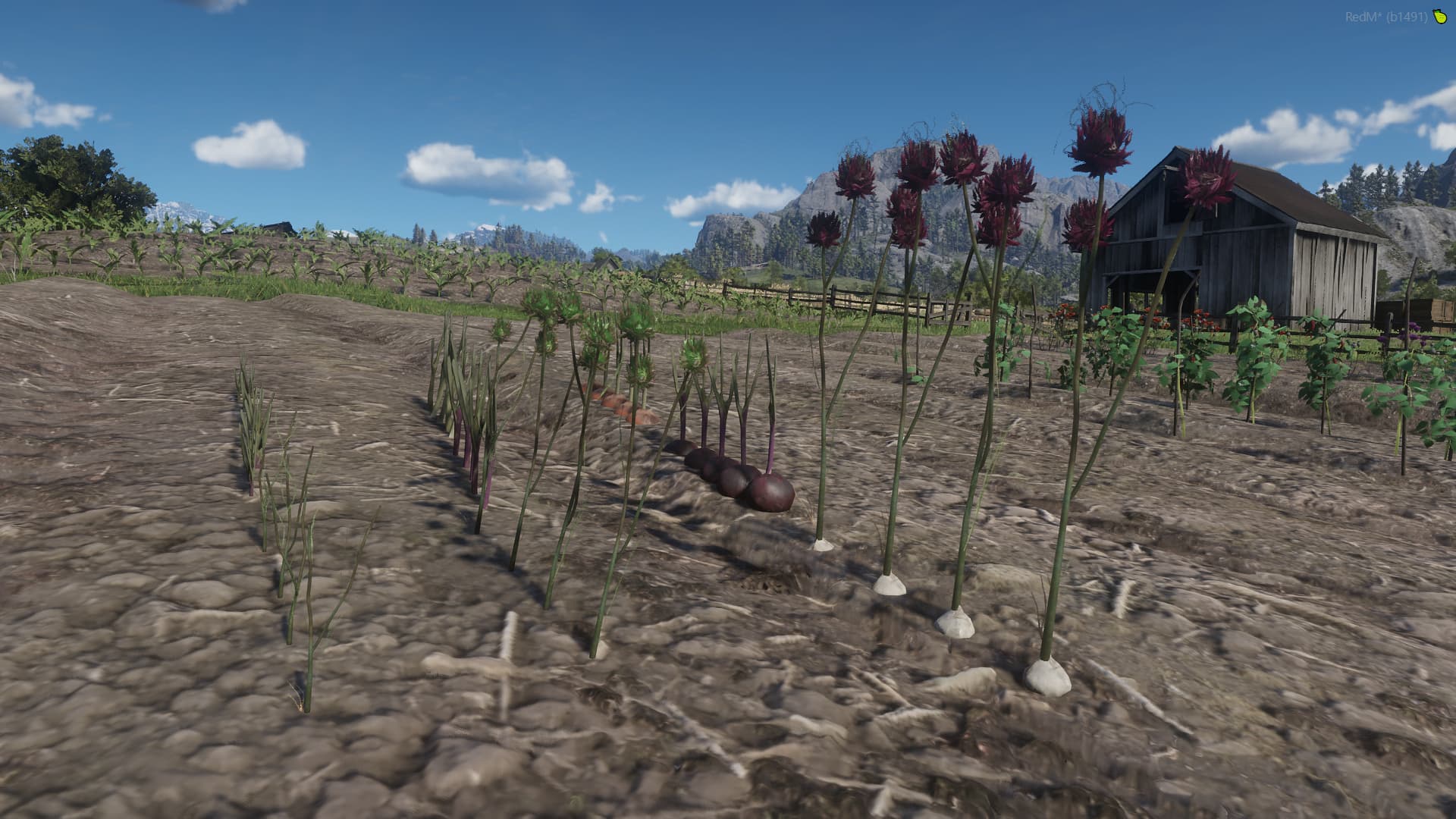 Plants Package 02 - RedM Releases - Cfx.re Community